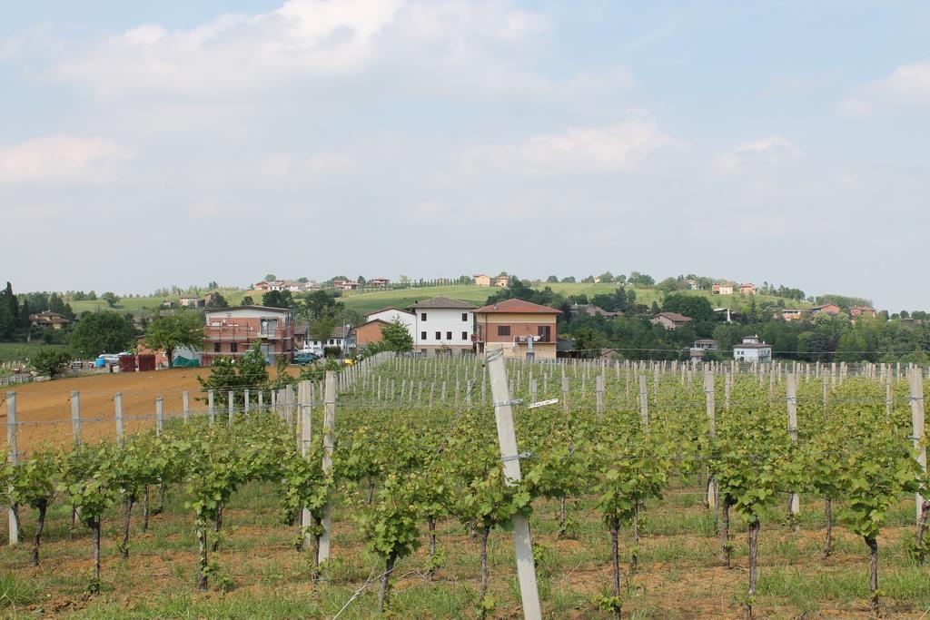Agriturismo Le Casette Кастельветро-ди-Модена Экстерьер фото