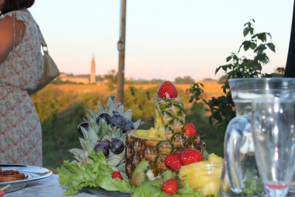 Agriturismo Le Casette Кастельветро-ди-Модена Экстерьер фото